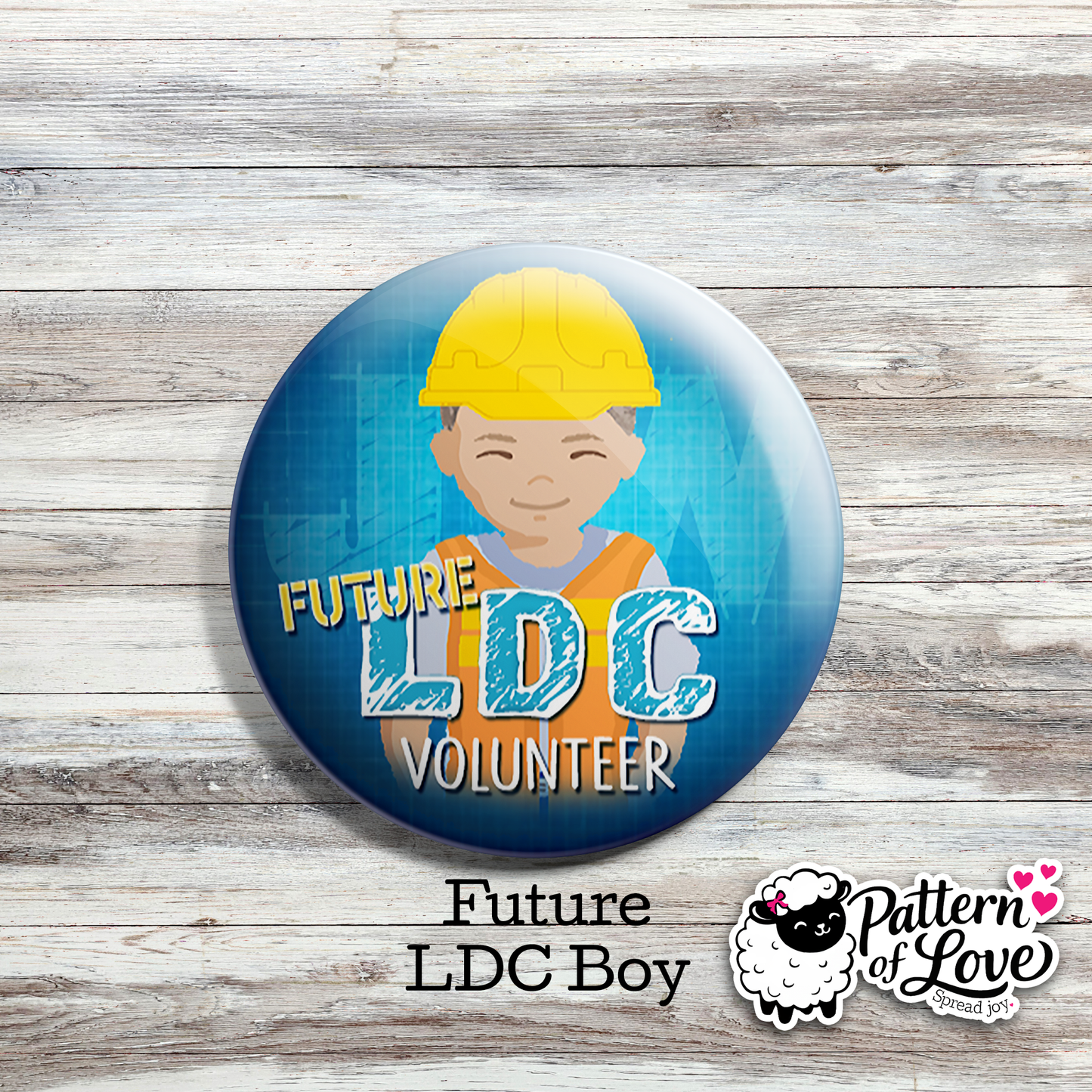 LDC Volunteer - Future LDC Volunteer