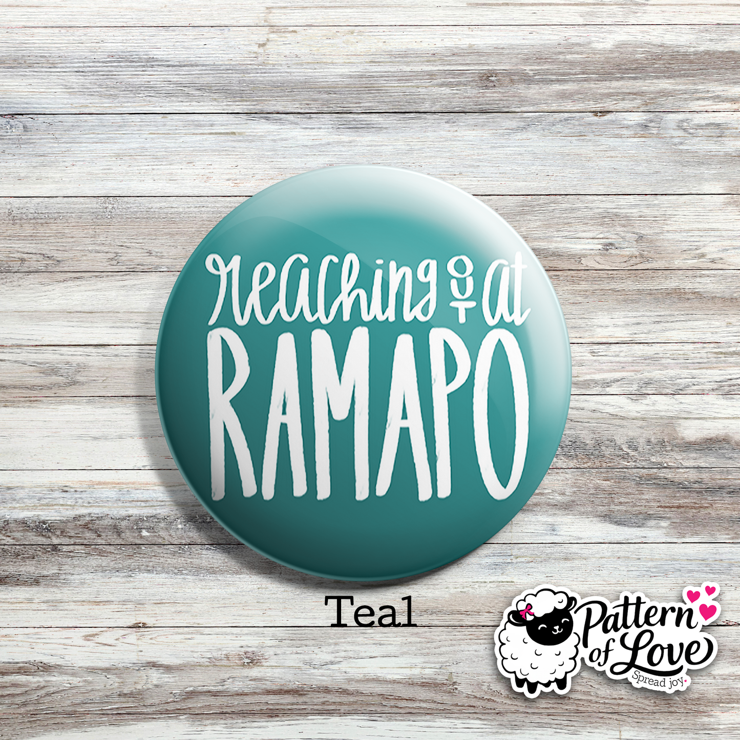 Reaching Out at Ramapo - Bright