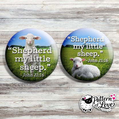 Shepherd My Little Sheep