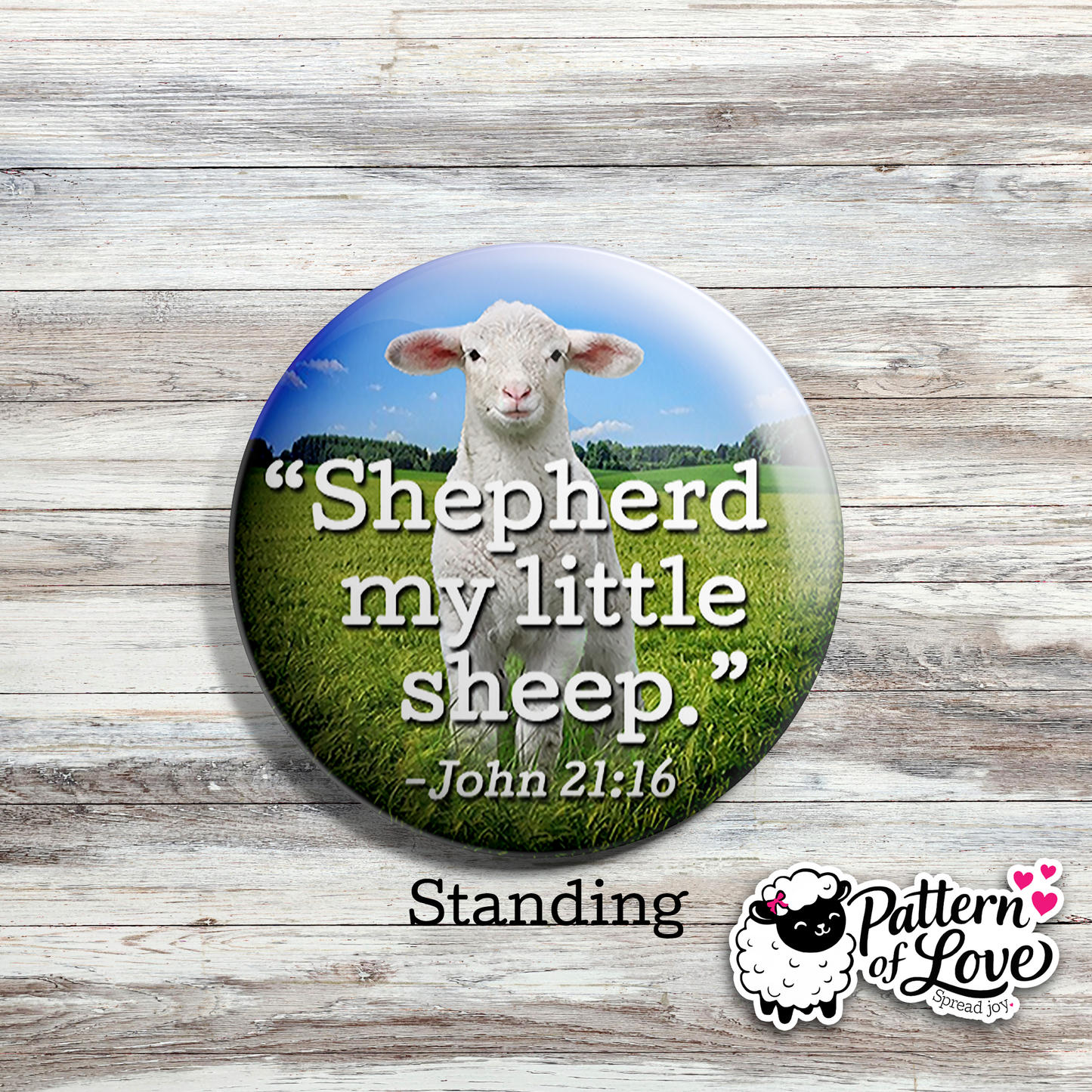 Shepherd My Little Sheep