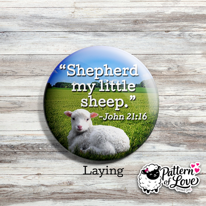 Shepherd My Little Sheep